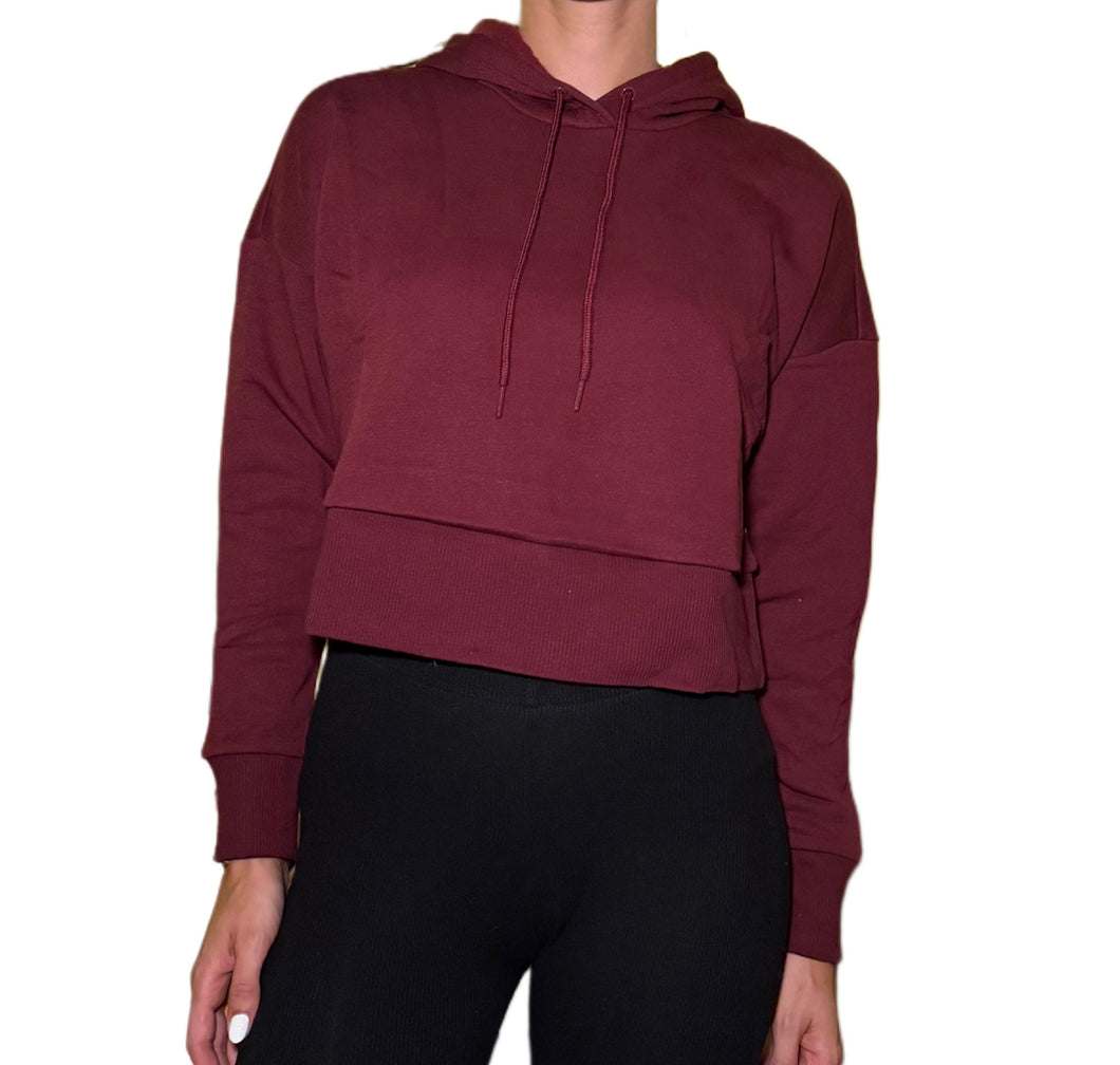 Lux Fleece Solid Pullover Hoodie | Wine